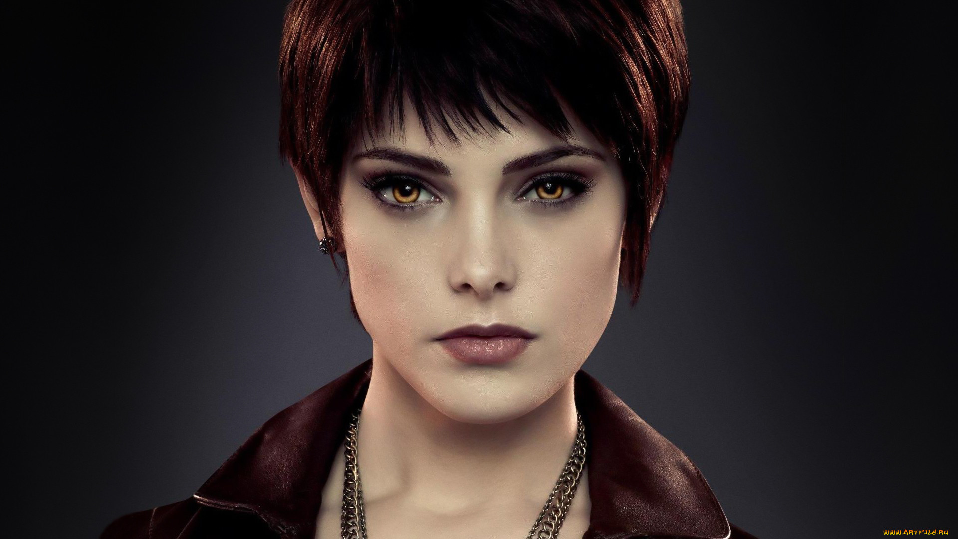 , , the, twilight, saga, breaking, dawn, part, 